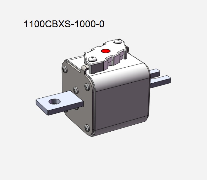 1100CBXS-1000-0